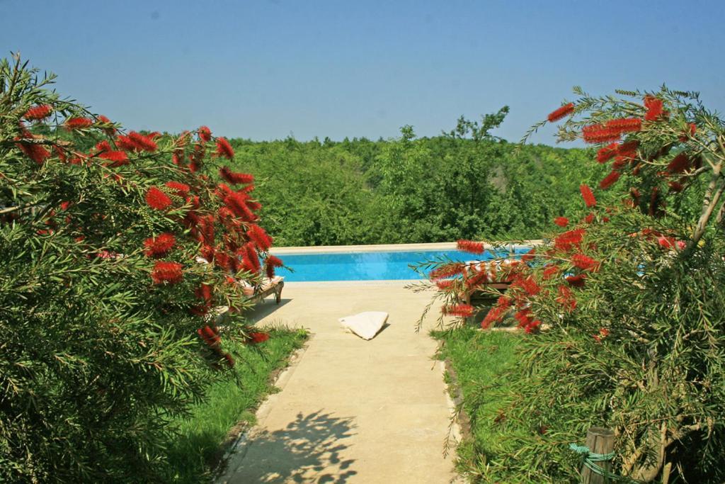 Ormanevi Otantik Hotel Ağva Exterior foto
