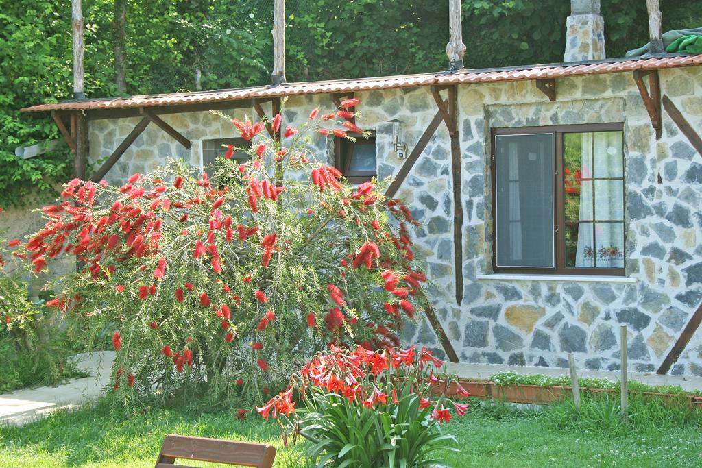 Ormanevi Otantik Hotel Ağva Exterior foto